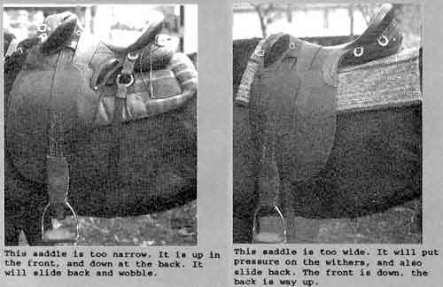 saddle_fit_problems.jpg (22740 bytes)